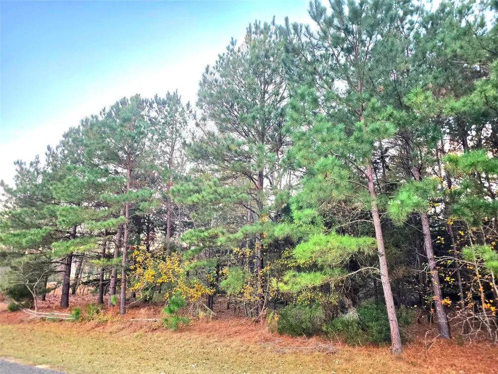 Mallard Way Larue, TX 75770