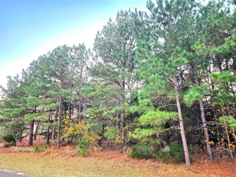 Mallard Way