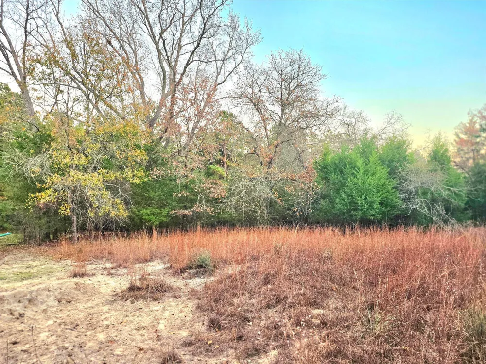 Mallard Way Larue, TX 75770