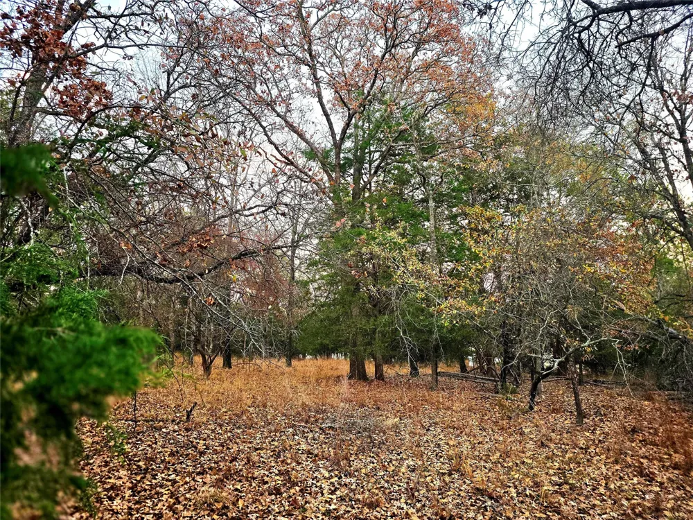 Mallard Way Larue, TX 75770