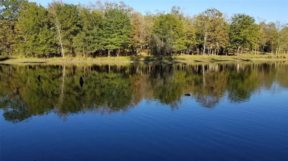 Mallard Way Larue, TX 75770