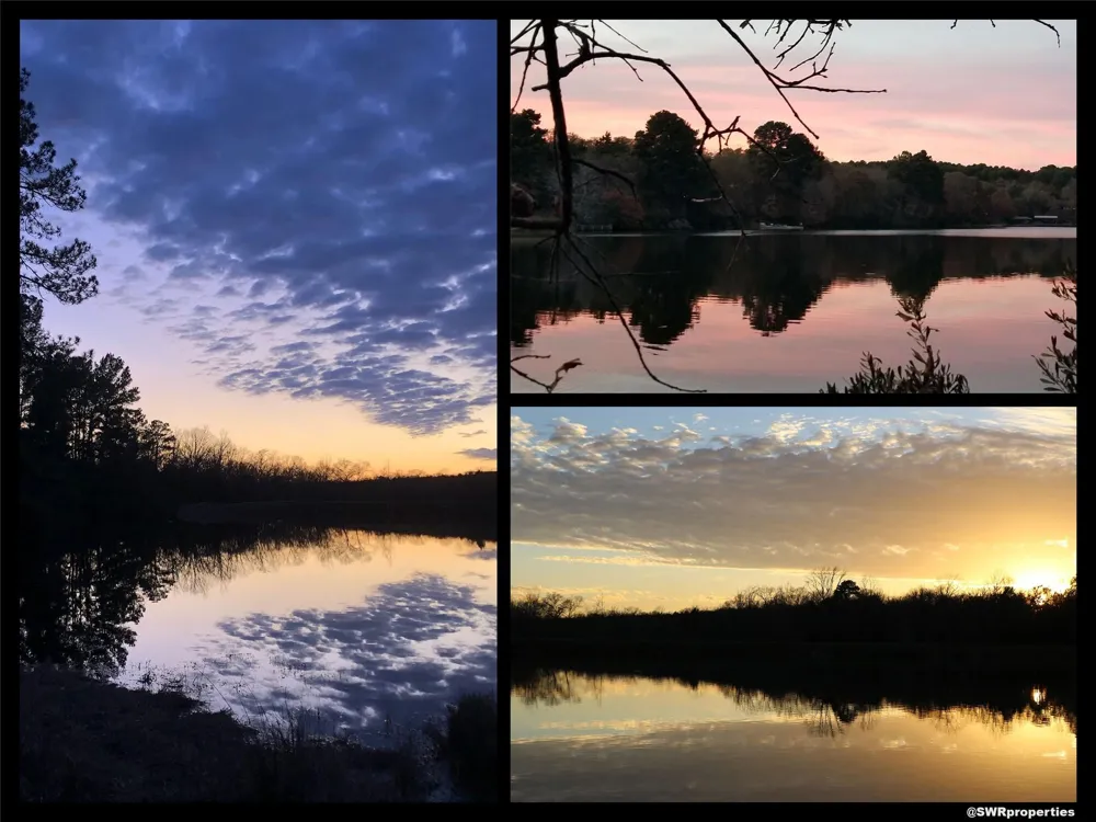 Mallard Way Larue, TX 75770