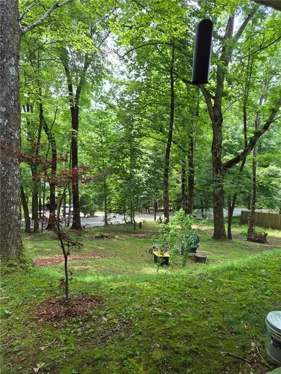 50 Shawnee Trail Chatsworth, GA 30705