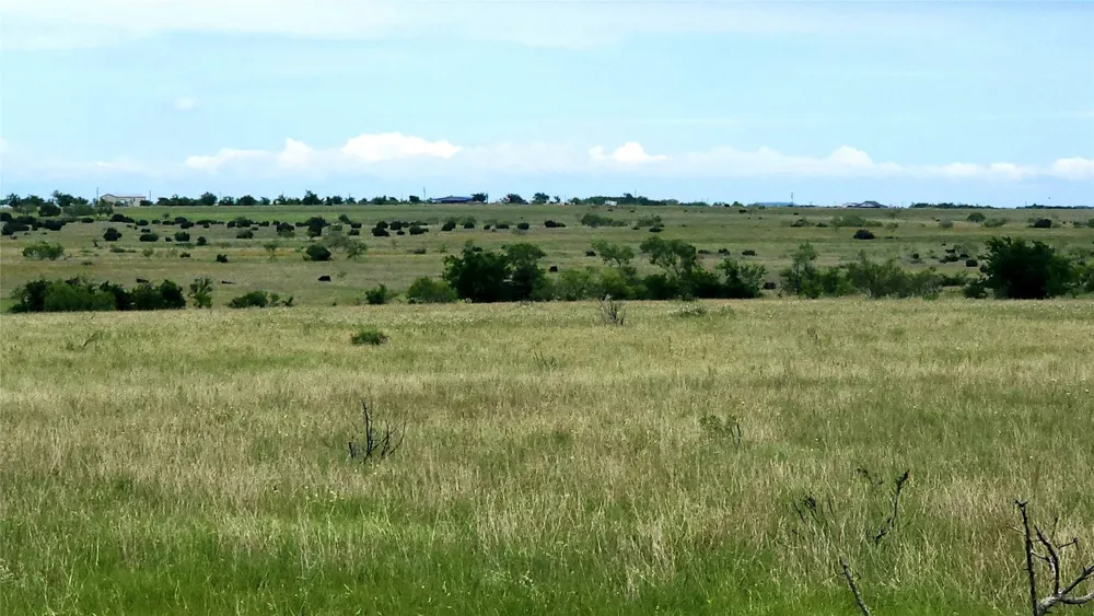 County Road 963 E Bertram, TX 78605
