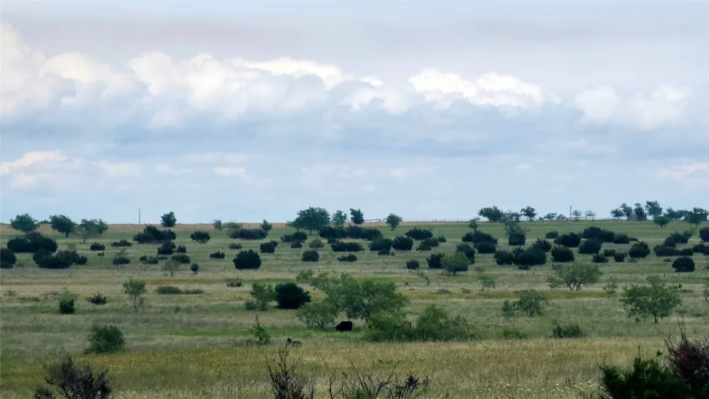 County Road 963 E Bertram, TX 78605