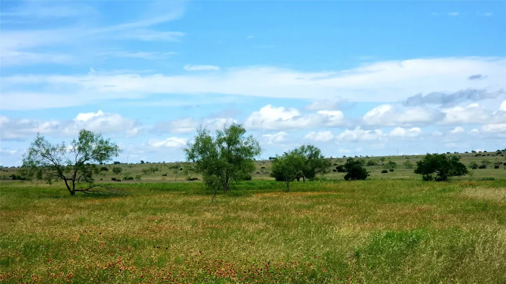 County Road 963 E Bertram, TX 78605