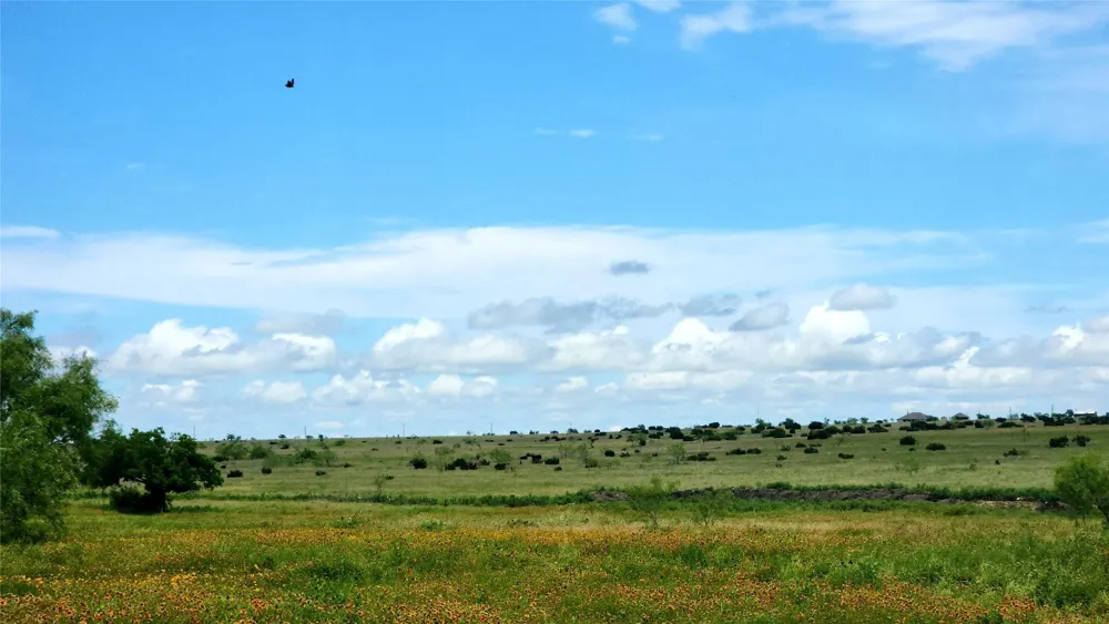 County Road 963 E Bertram, TX 78605