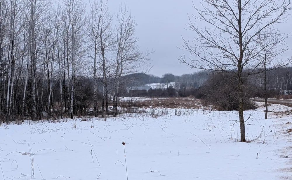 TBD Hummingbird Road Long Prairie, MN 56347