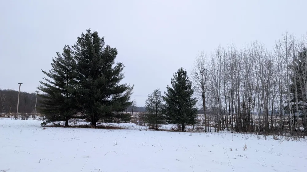 TBD Hummingbird Road Long Prairie, MN 56347