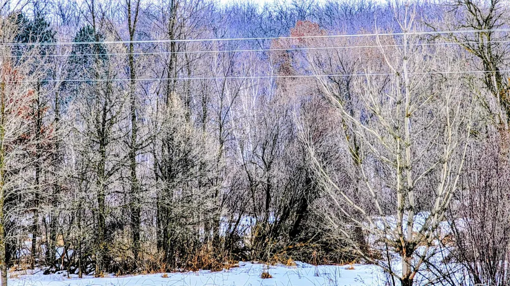 TBD Hummingbird Road Long Prairie, MN 56347