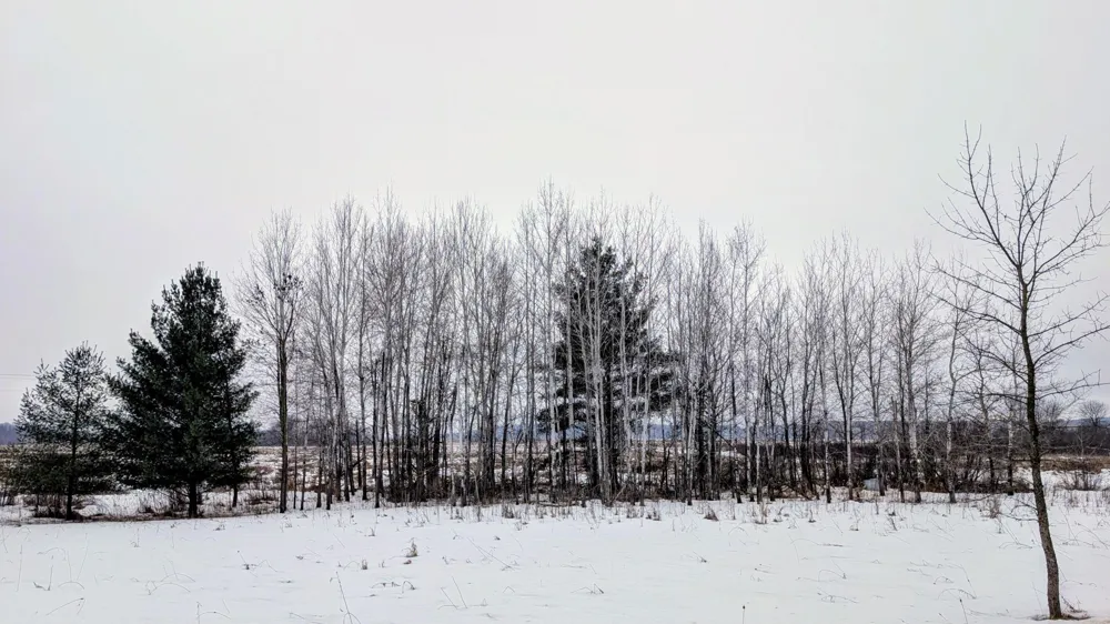 TBD Hummingbird Road Long Prairie, MN 56347