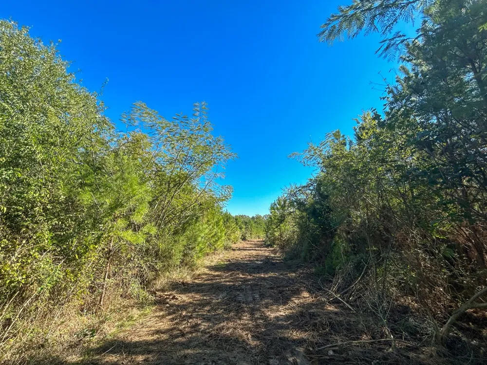 6 County Road 3121 Long Branch, TX 75669