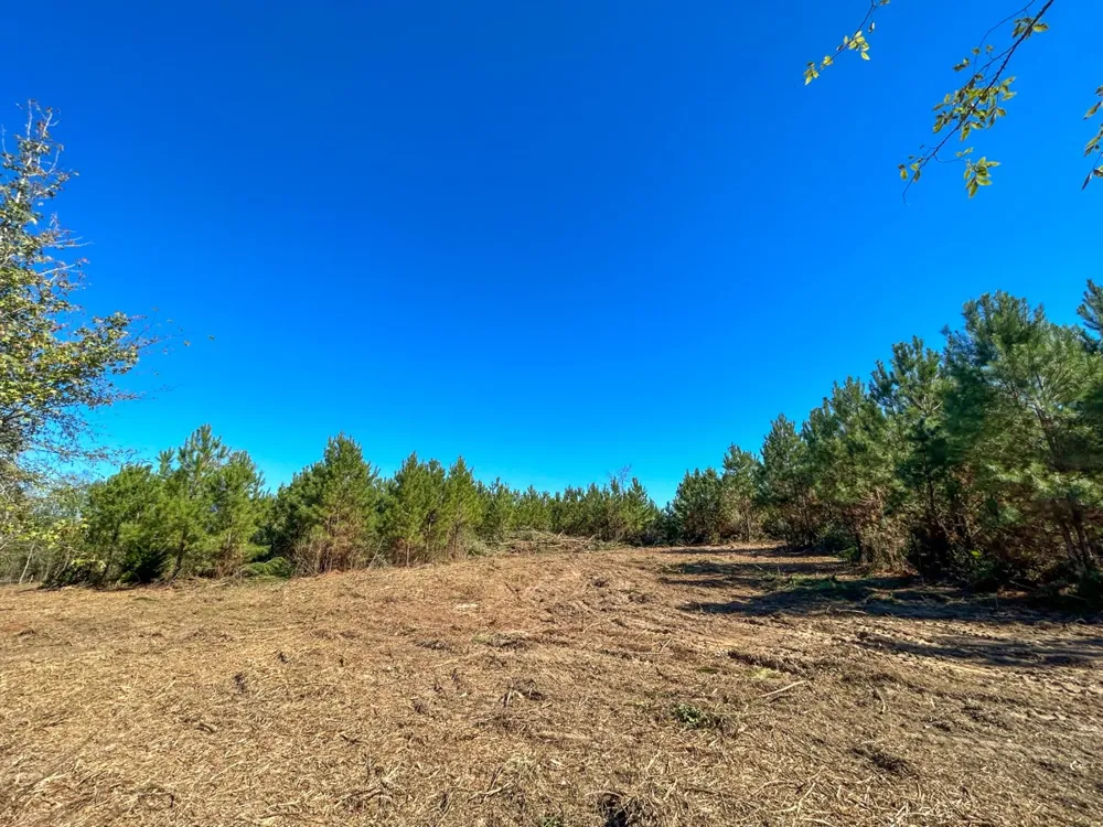 6 County Road 3121 Long Branch, TX 75669