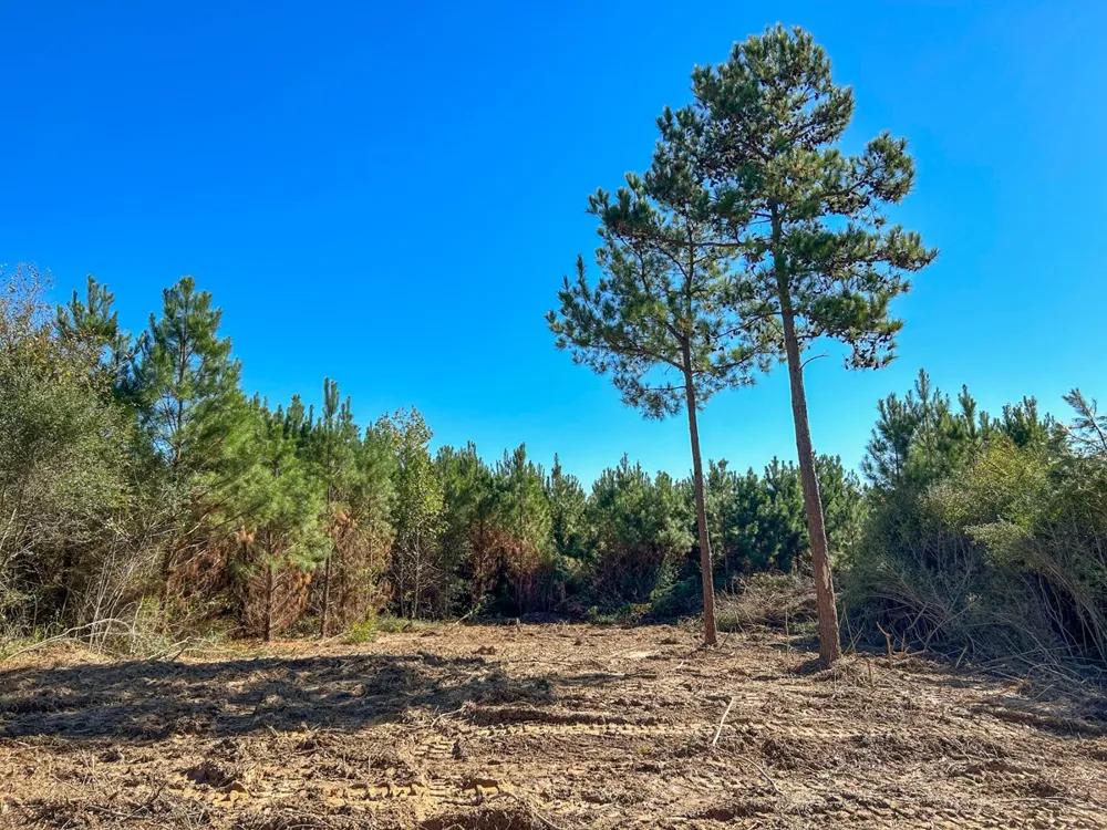 6 County Road 3121 Long Branch, TX 75669