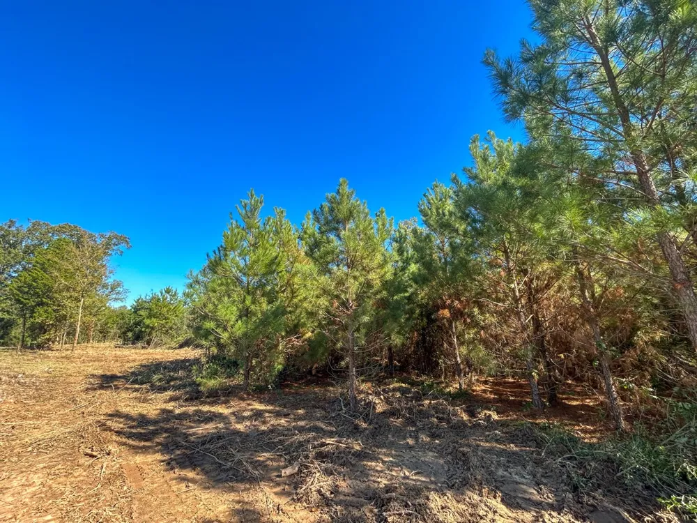 6 County Road 3121 Long Branch, TX 75669