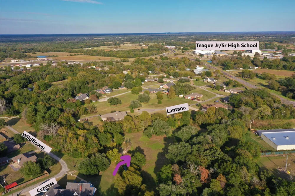 103 Wildflower Lane Teague, TX 75860