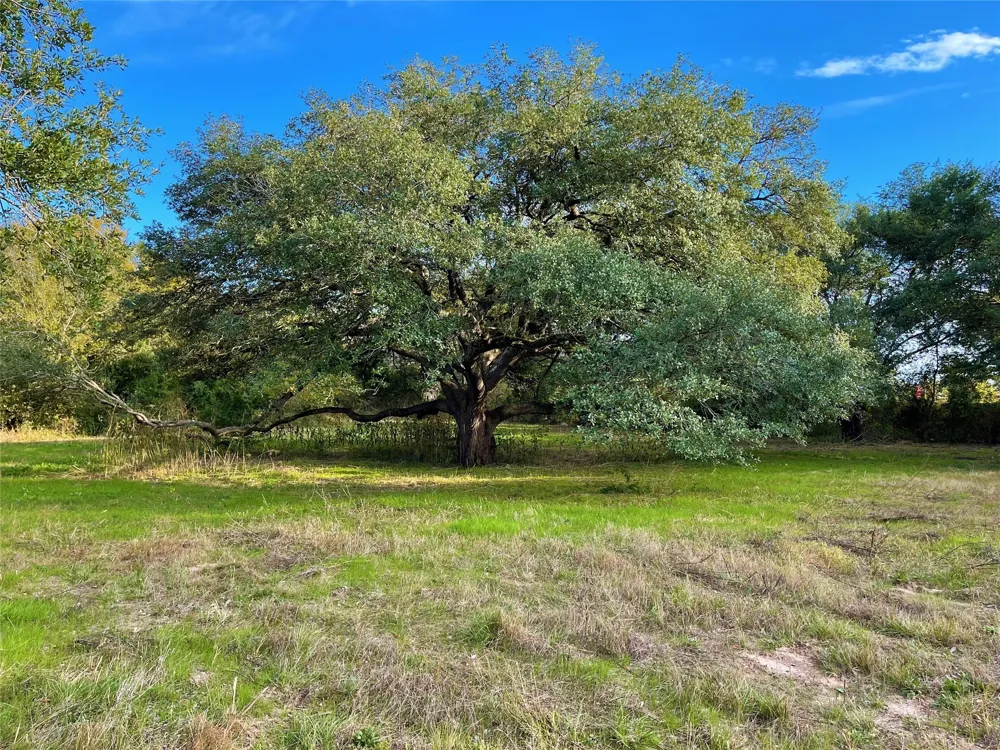 103 Wildflower Lane Teague, TX 75860