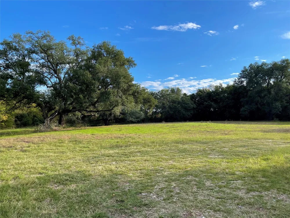 103 Wildflower Lane Teague, TX 75860
