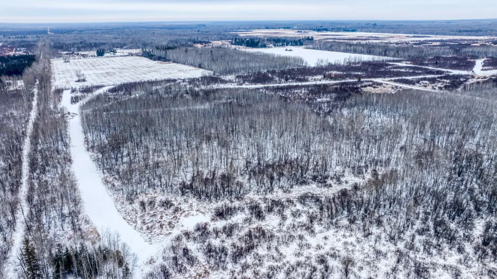 TBD Fourtown Road NW Grygla, MN 56727