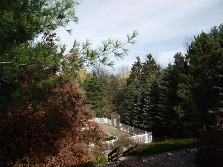E Chauvez Road Custer Township, MI 49454