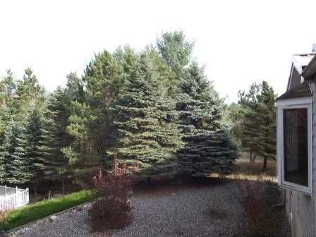 E Chauvez Road Custer Township, MI 49454