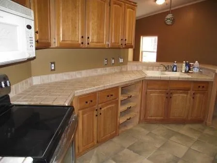 E Chauvez Road Custer Township, MI 49454