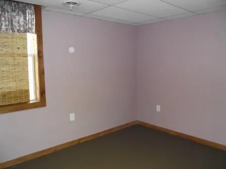 E Chauvez Road Custer Township, MI 49454