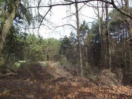 E Chauvez Road Custer Township, MI 49454