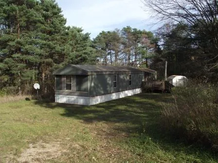 E Chauvez Road Custer Township, MI 49454