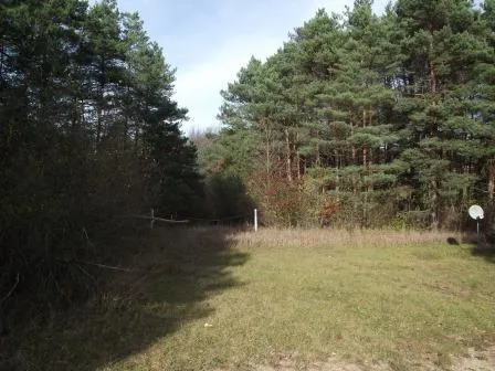 E Chauvez Road Custer Township, MI 49454