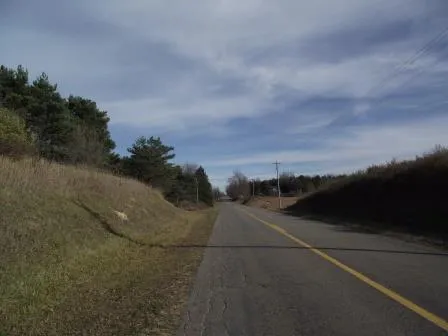 E Chauvez Road Custer Township, MI 49454