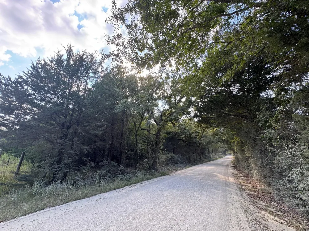3674 County Road 427 Marquez, TX 77865
