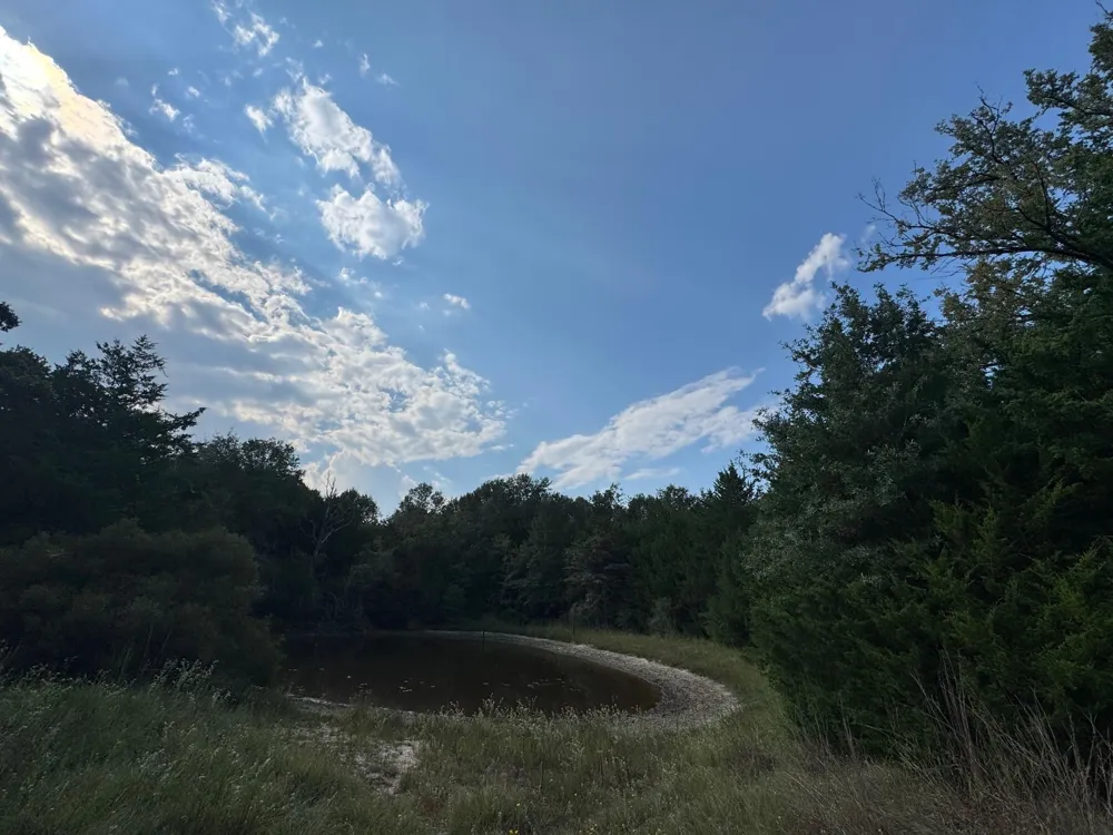 3674 County Road 427 Marquez, TX 77865