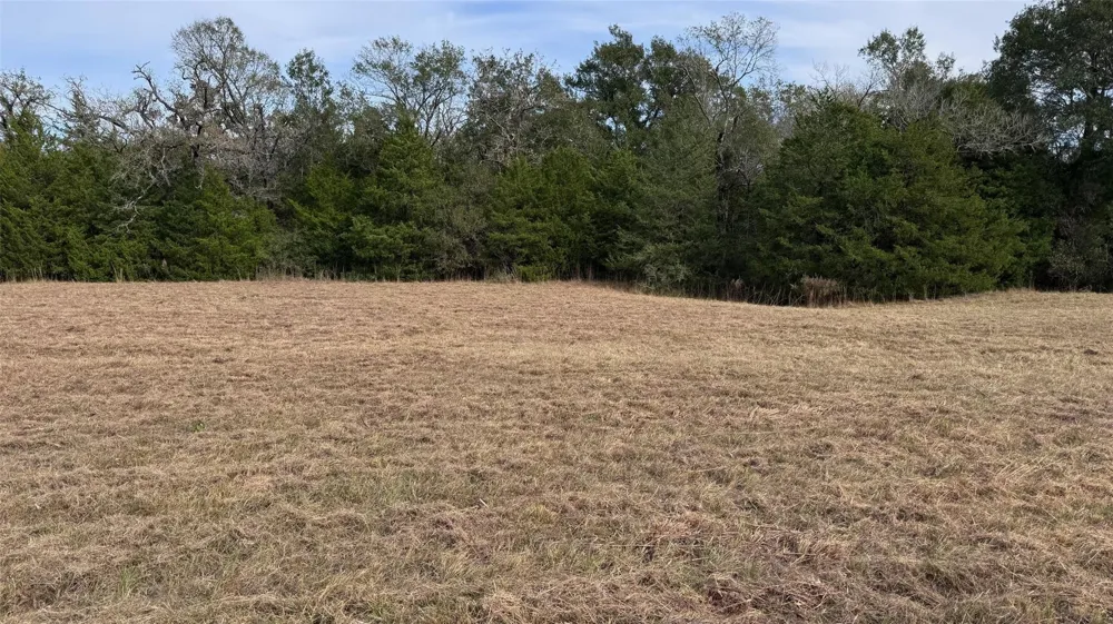 3674 County Road 427 Marquez, TX 77865