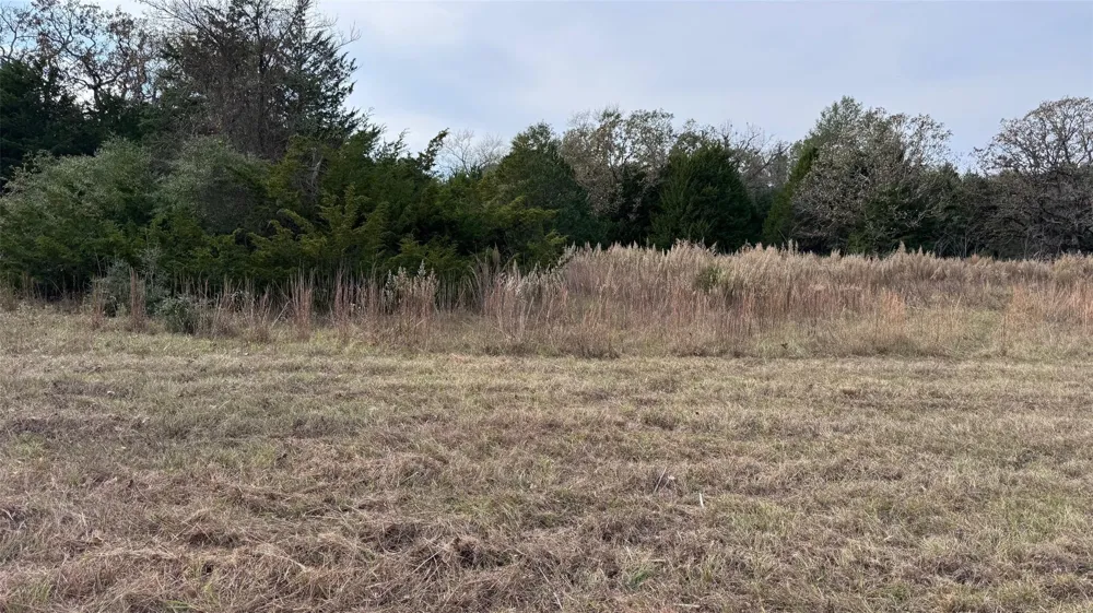 3674 County Road 427 Marquez, TX 77865
