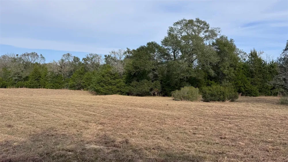 3674 County Road 427 Marquez, TX 77865