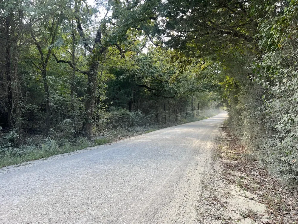 3674 County Road 427 Marquez, TX 77865