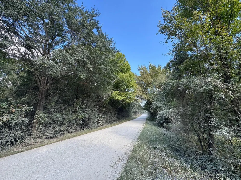 3674 County Road 427 Marquez, TX 77865