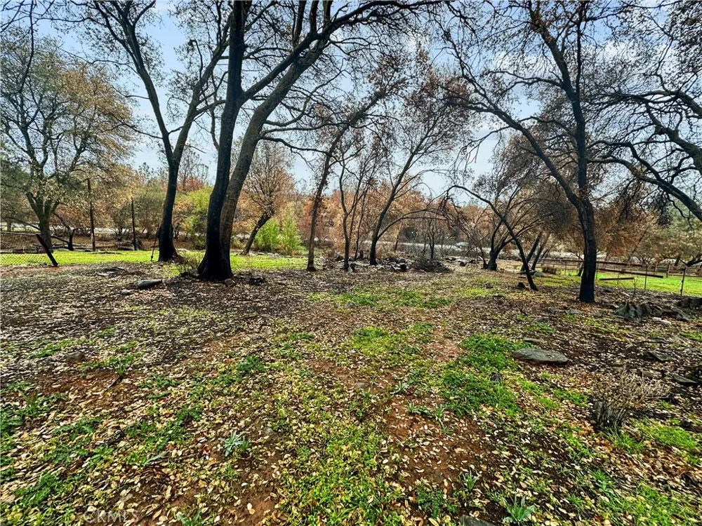 Bessie Lane Oroville, CA 95966