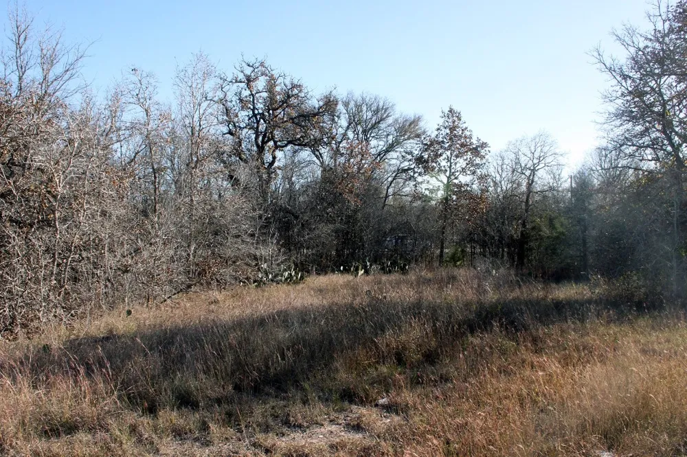 100 Track Road Highway Dale, TX 78616