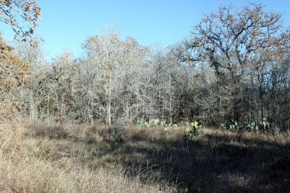 100 Track Road Highway Dale, TX 78616