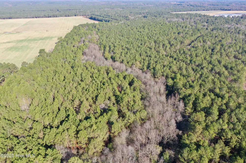 Tbd Moon Johnson Road Roseboro, NC 28382
