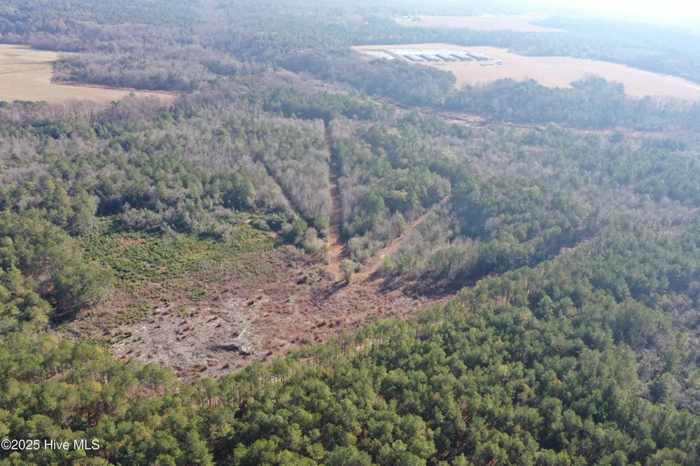 Tbd Moon Johnson Road Roseboro, NC 28382