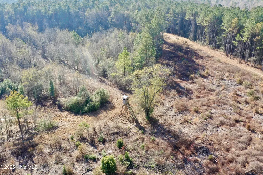 Tbd Moon Johnson Road Roseboro, NC 28382