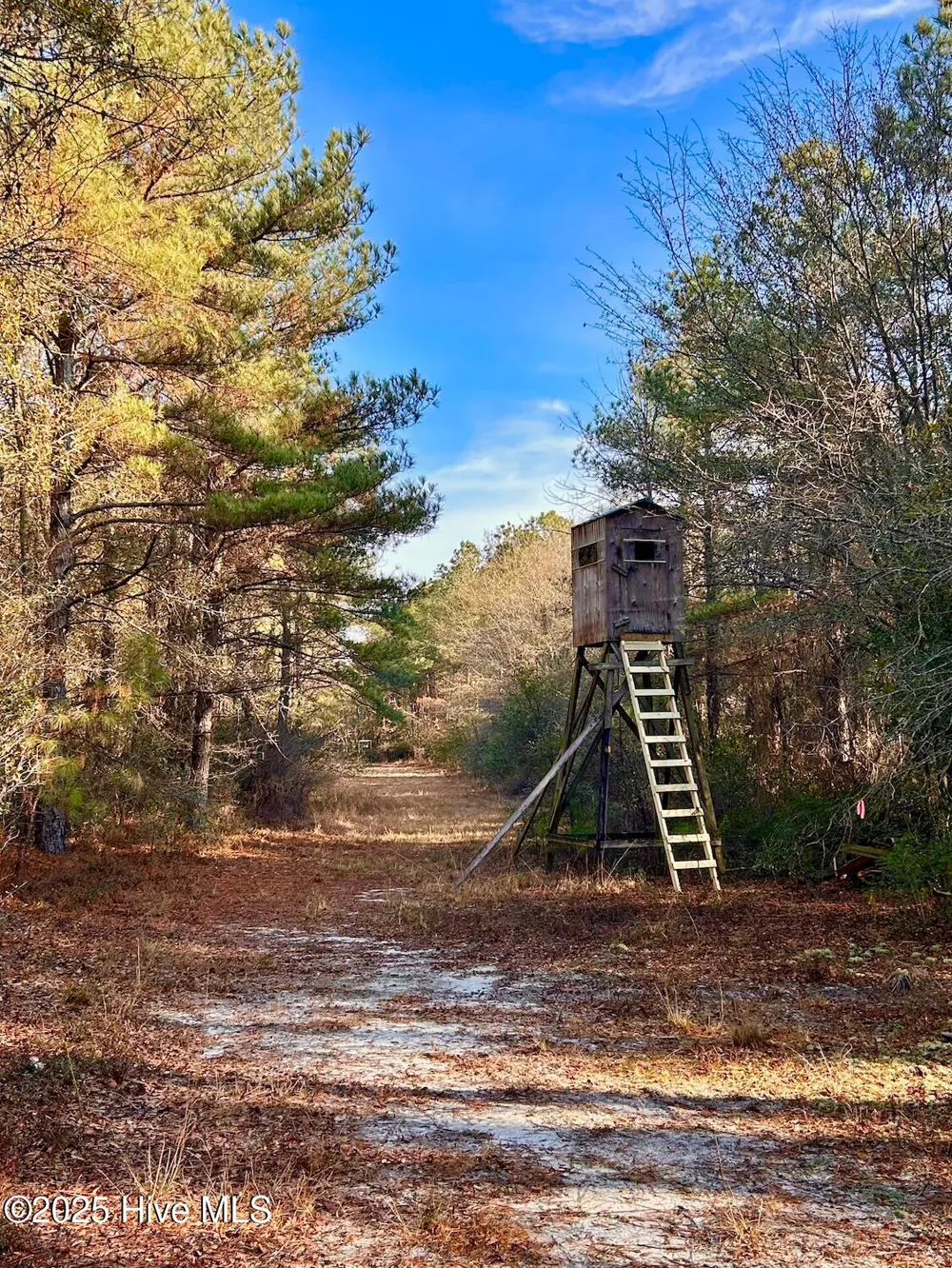 Tbd Moon Johnson Road Roseboro, NC 28382