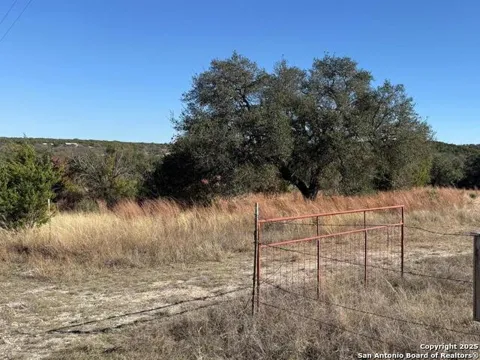 0000 Dog Run