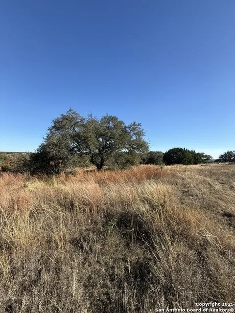 0000 Dog Run Burnet, TX 78611