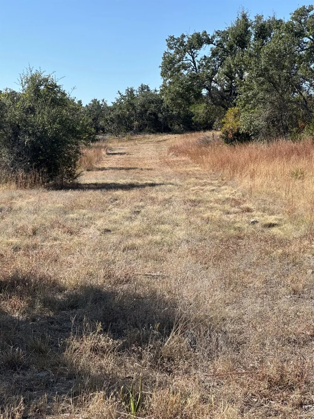 525 Outlook Drive Wimberley, TX 78676