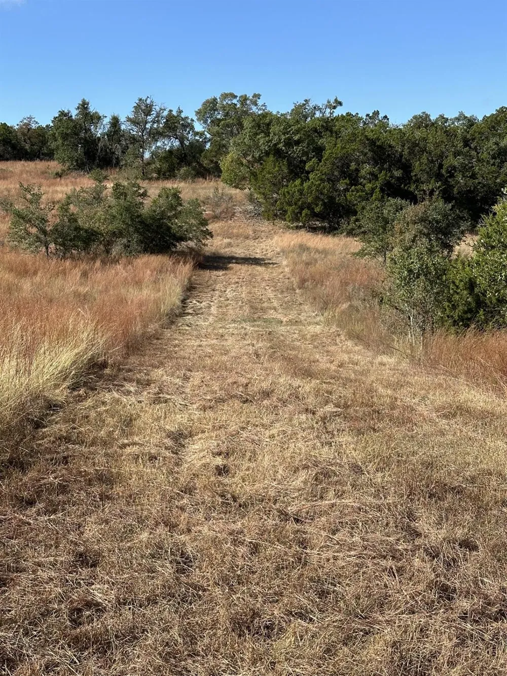 525 Outlook Drive Wimberley, TX 78676