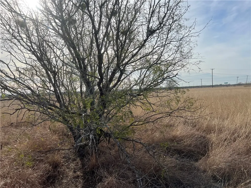 8051 Fm 1068 Mathis, TX 78368